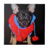 Cute Puppy in Red Wool Sweater Tegeltje (Voorkant)