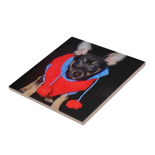 Cute Puppy in Red Wool Sweater Tegeltje (Zijkant)