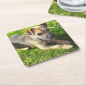 Cute Puppy Kartonnen Onderzetters (Schuin)