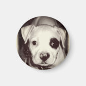 Cute Puppy Magnet (Voorkant)