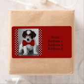 Cute Puppy met het Etiket van het Adres van Rood B (Insitu)