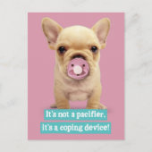 Cute Puppy met Pacifier Briefkaart (Voorkant)