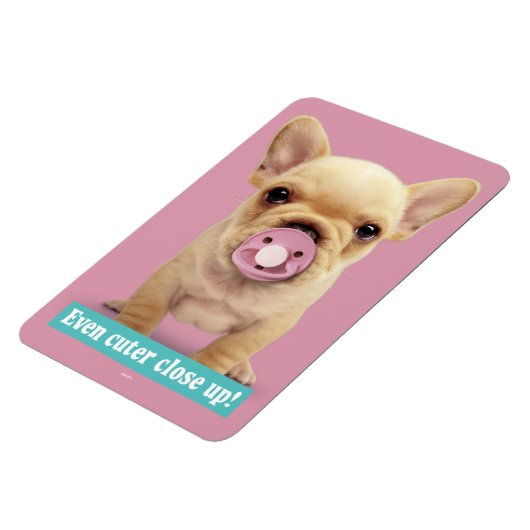 Cute Puppy met Pacifier Magneet (Linkerzijde)