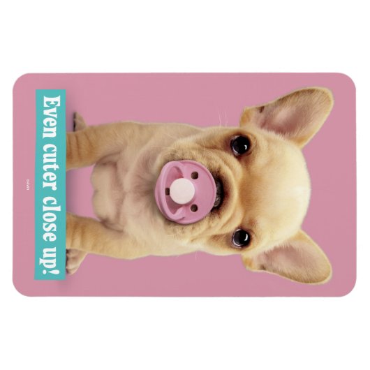 Cute Puppy met Pacifier Magneet (Horizontaal)
