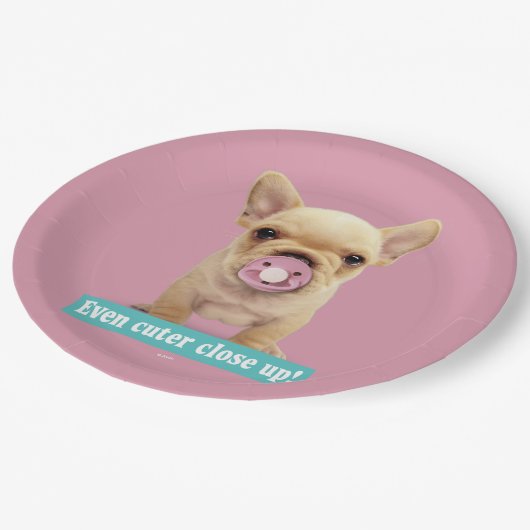 Cute Puppy met Pacifier Papieren Bordje (Gekanteld)