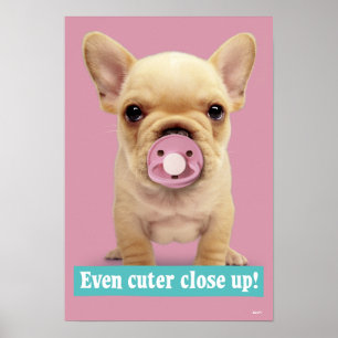 Cute Puppy met Pacifier Poster