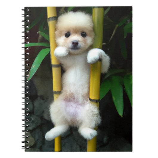 Cute Puppy Notitieboek Gaejook 개 죽 이 (Voorkant)