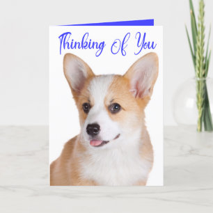 Cute Puppy Pembroke Corgi Dog Denking You Kaart