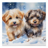 Cute puppy perfect poster (Voorkant)
