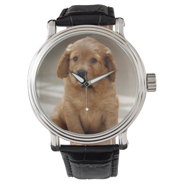 Cute Puppy Portrait Photo Horloge (Voorkant)