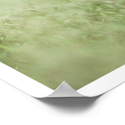 Cute puppy poster (Hoek)