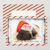 Cute Puppy Pug in een Rode Kerstmis Feestdagenkaart (Voorkant / Achterkant)