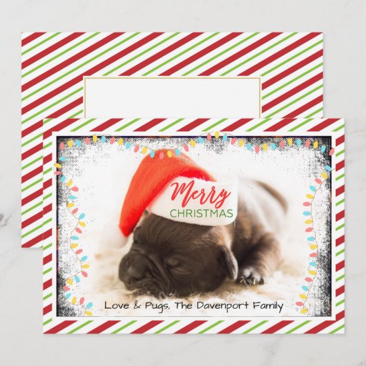 Cute Puppy Pug in een Rode Kerstmis Feestdagenkaart (Voorkant / Achterkant)