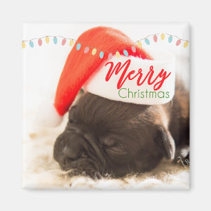 Cute Puppy Pug in een Rode Kerstmis Magneet