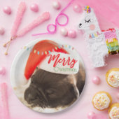 Cute Puppy Pug in een Rode Kerstmis Papieren Bordje (Feest)