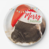 Cute Puppy Pug in een Rode Kerstmis Papieren Bordje (Voorkant)