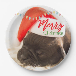 Cute Puppy Pug in een Rode Kerstmis Papieren Bordje