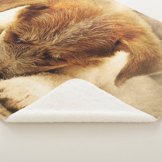 Cute Puppy Sherpa Deken (3/4)