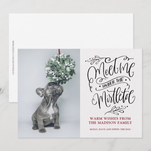 Cute Puppy Sniffing Mistletoe Kerstmis Feestdagenkaart (Voorkant / Achterkant)