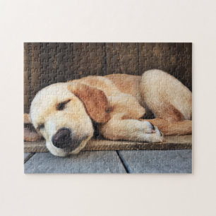 Cute Puppy Yellow Labrador Legpuzzel