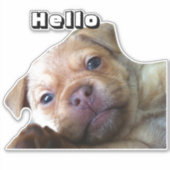 Cute Puppy zegt Hallo telefoondecoratie Sticker (Voorkant)