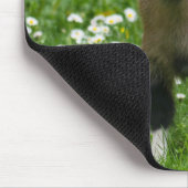 Cute Pygmy Goat Kind in bloemen Muismat (Hoek)