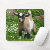 Cute Pygmy Goat Kind in bloemen Muismat (Met muis)