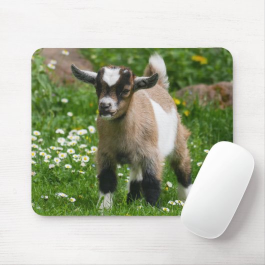 Cute Pygmy Goat Kind in bloemen Muismat (Met muis)