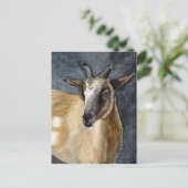 Cute Pygmy Goat Waterverf Artwork Briefkaart (Staand voorkant)