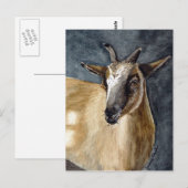 Cute Pygmy Goat Waterverf Artwork Briefkaart (Voorkant / Achterkant)