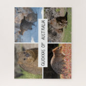 Cute Quokka Animal Wildlife Australia, 520 stuks Legpuzzel (Verticaal)