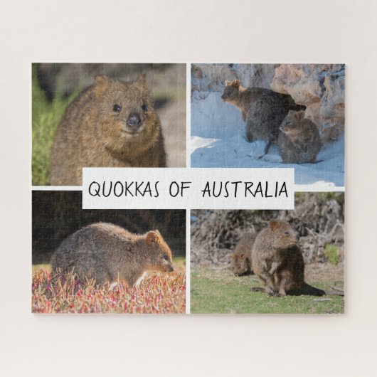Cute Quokka Animal Wildlife Australia, 520 stuks Legpuzzel (Horizontaal)