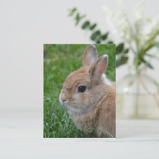 Cute Rabbit Briefkaart (Staand voorkant)