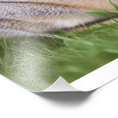 Cute Rabbit Foto Afdruk (Hoek)