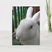 Cute Rabbit Kaart (Voorkant)