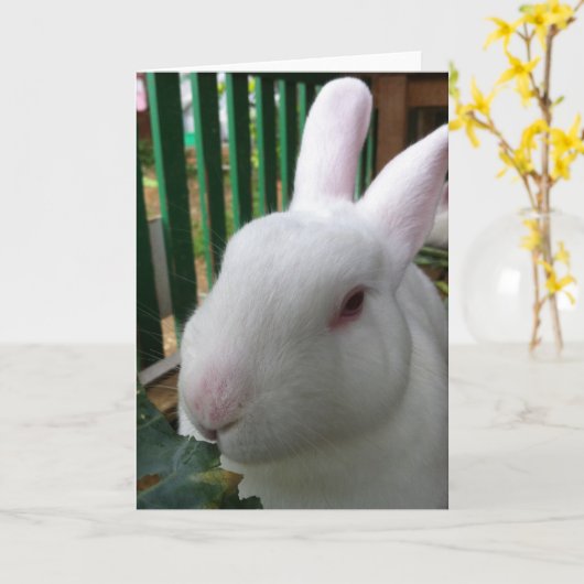 Cute Rabbit Kaart (Gele Bloem)