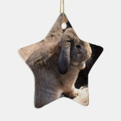 Cute Rabbit Keramisch Ornament (Rechts)