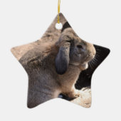 Cute Rabbit Keramisch Ornament (Voorkant)