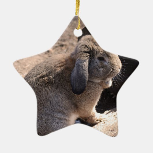 Cute Rabbit Keramisch Ornament (Achterkant)