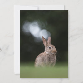 Cute Rabbit Natuur Photo Card Kaart
