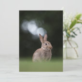 Cute Rabbit Natuur Photo Card Kaart (Staand voorkant)