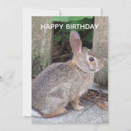 Cute Rabbit Photo Birthday Flat Kaart (Voorkant)