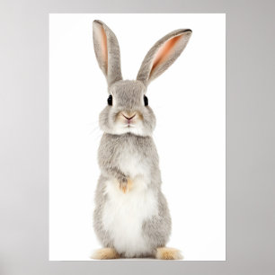 Cute Rabbit Portret Digital Print