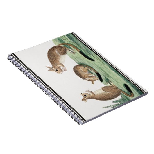 Cute Rabbits Illustratie | Notitieboek (Rechterzijde)