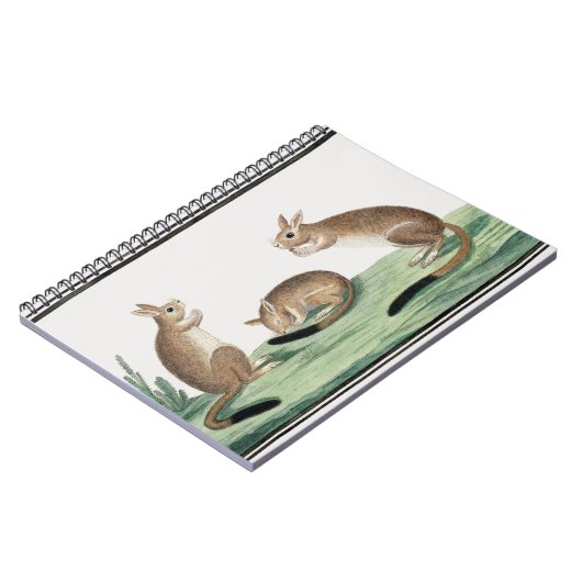 Cute Rabbits Illustratie | Notitieboek (Linkerzijde)