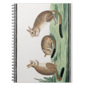 Cute Rabbits Illustratie | Notitieboek (Voorkant)