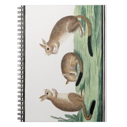 Cute Rabbits Illustratie | Notitieboek (Voorkant)