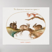 Cute Rabbits Poster (Voorkant)