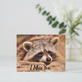 Cute Raccoon Briefkaart (Staand voorkant)