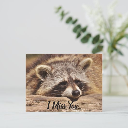 Cute Raccoon Briefkaart (Staand voorkant)